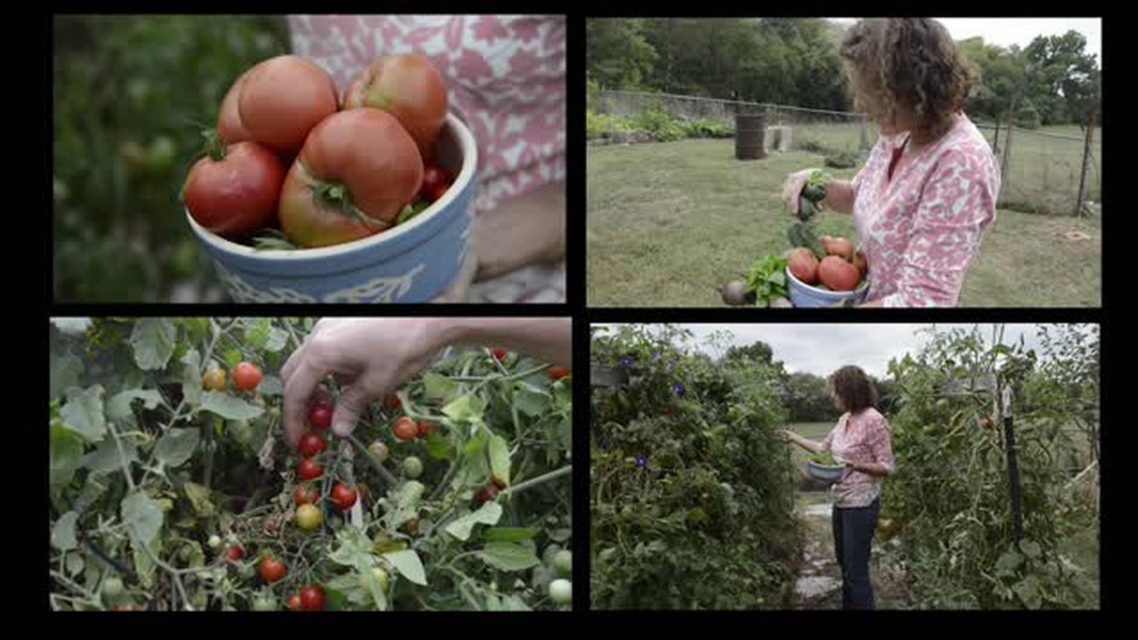 Cindy's Kansas Kitchen Buttermilk ranch dressing Kansas City Star