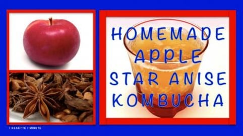 Homemade Apple Star Anise kombucha / Healthy, Sparkling &...