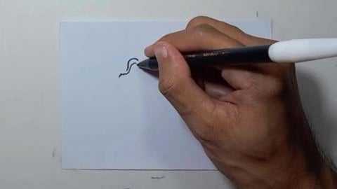 Drawing Grafiti BROWN BULL CARTOON Shorts
