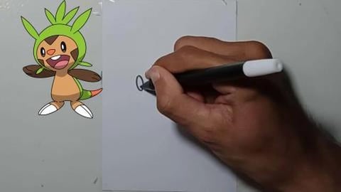 Drawing Pokemon Chespin