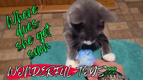 Crinkle Toy Fun 