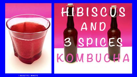 Hibiscus and 3 Spices Kombucha / with Cardamom, Ginger, C...