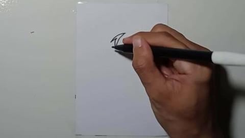 Drawing Tatto Tribal V6