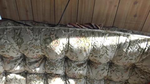 Husky & Malamute enjoy bully treat and Husky makes the be...