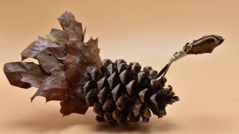 Pine Cone Turkey Quick Craft