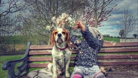 Why Dogs Need Children Friends