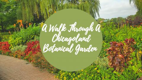 A Virtual Walk Through A Chicagoland  Botanical Garden Pa...