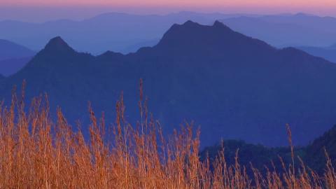 Sunrise forest Wilderness, Relaxing Music, Peaceful Sooth...