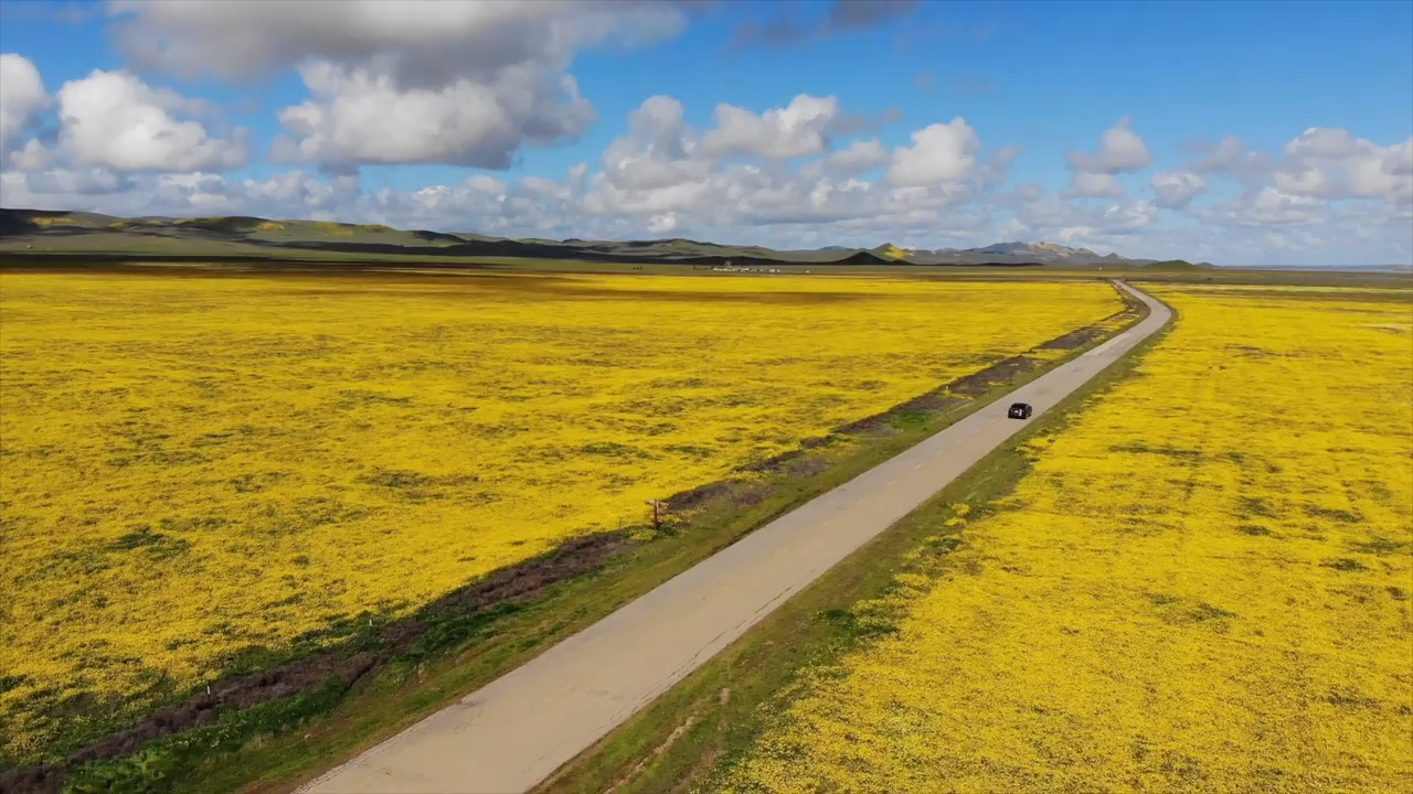 Drone video shows Carrizo Plain CA wildflower super bloom San Luis