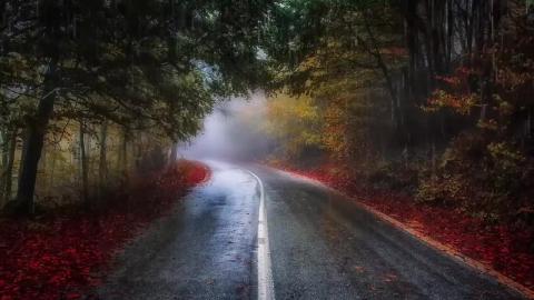 Relaxing Music - Deep Calm & Stress Relief- Peaceful Pian...