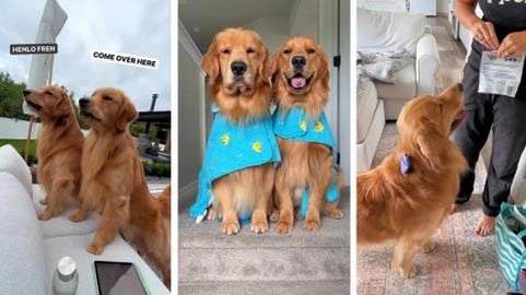 Time for the Chiropractor