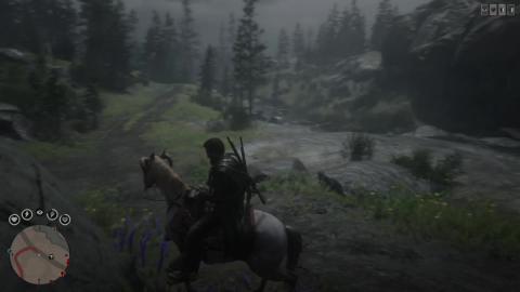 Red Dead Online Gameplay (3)
