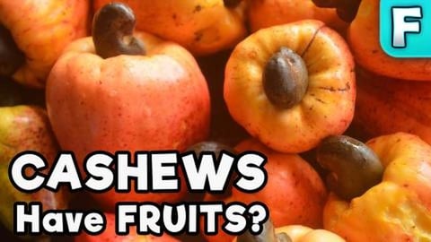 Cashew Apple | Fruits You've Never Heard Of