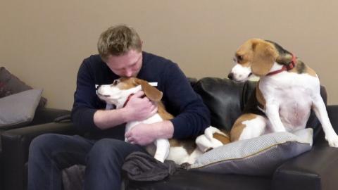 Jealous Dogs Reaction when I Give Attention Only One of T...