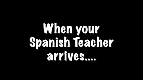 Percy the Labrador can't wait for his Spanish Lesson