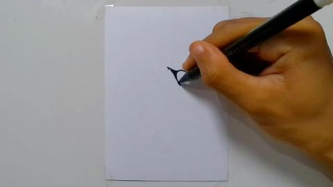 Draw Graffiti Cartoon Bull shorts