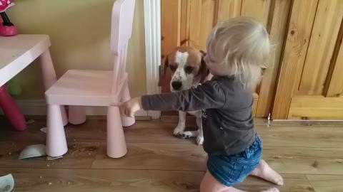 Sweet Baby Consoles and Hugs Guilty Dog After He Tried to...