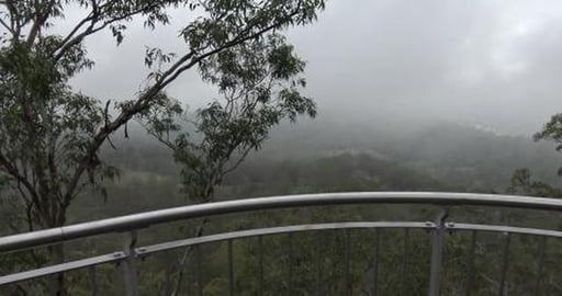 Malamute & Husky find today hot & humid but won't stop us...