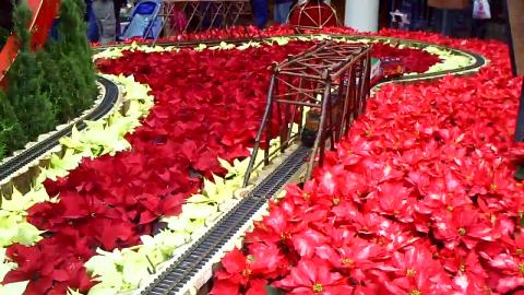 Christmas display at the Bellagio Conservatory 2009