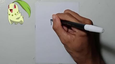 Drawing Pokemon Chikorita