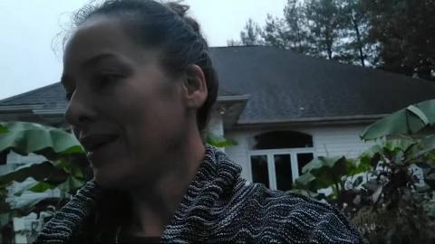 Gloomy Halloween Sunrise On The Homestead: Homesteading w...