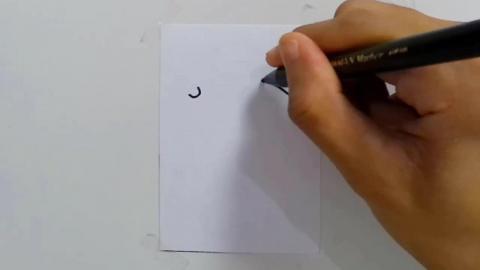 Drawing doodle V6 shorts