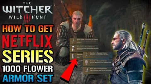 The Witcher 3: How To Get The NETFLIX Series Armor! 1000 ...