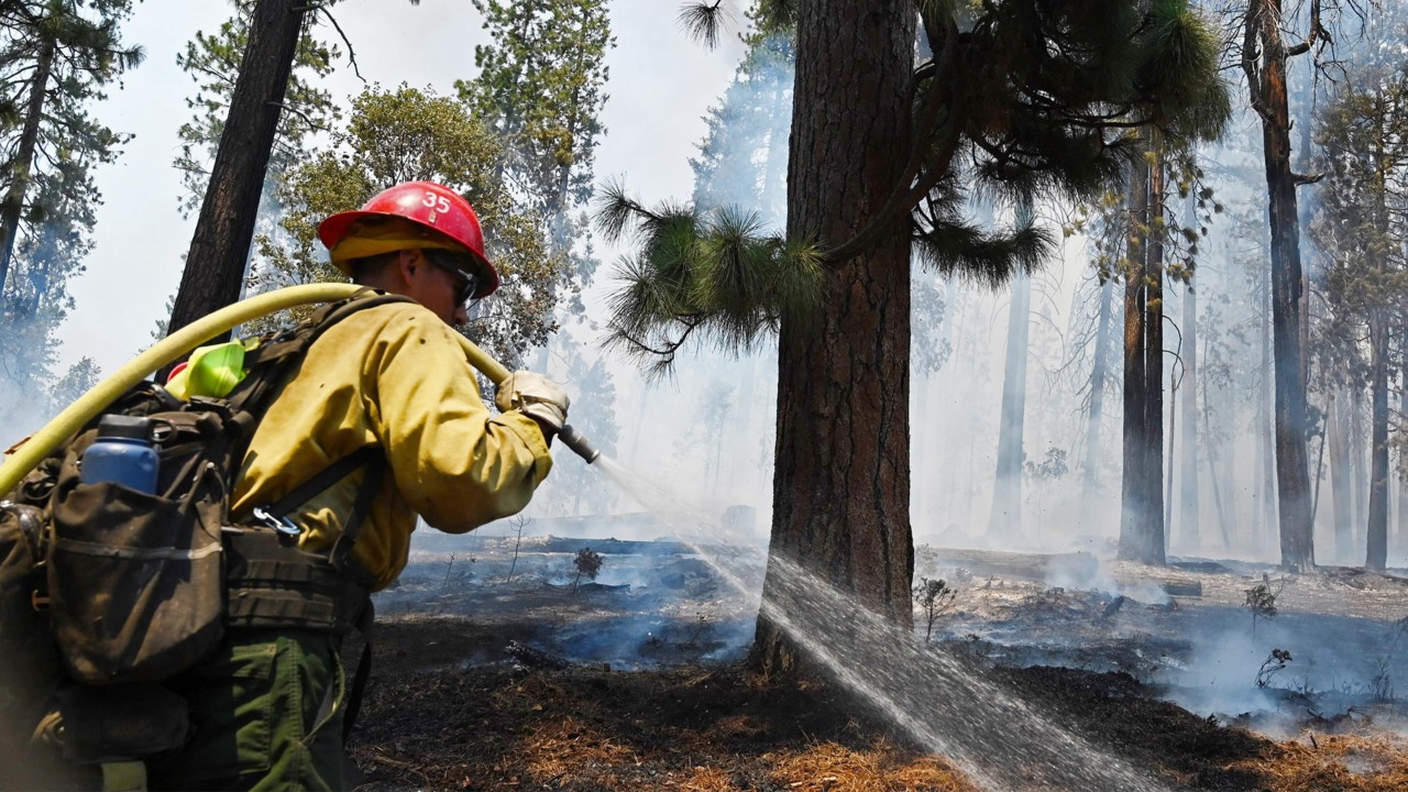 Yosemite CA Washburn Fire containment, Wawona return plan | Fresno Bee