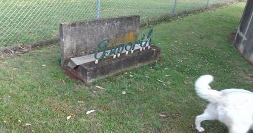 Wolf got to see his Husky girlfriend Mia