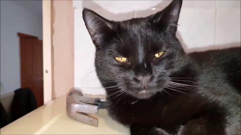 Thor Bored Because Is Too Windy Out There