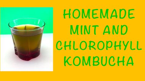 Homemade Mint & Chlorophyll Kombucha / Healthy & Refreshi...