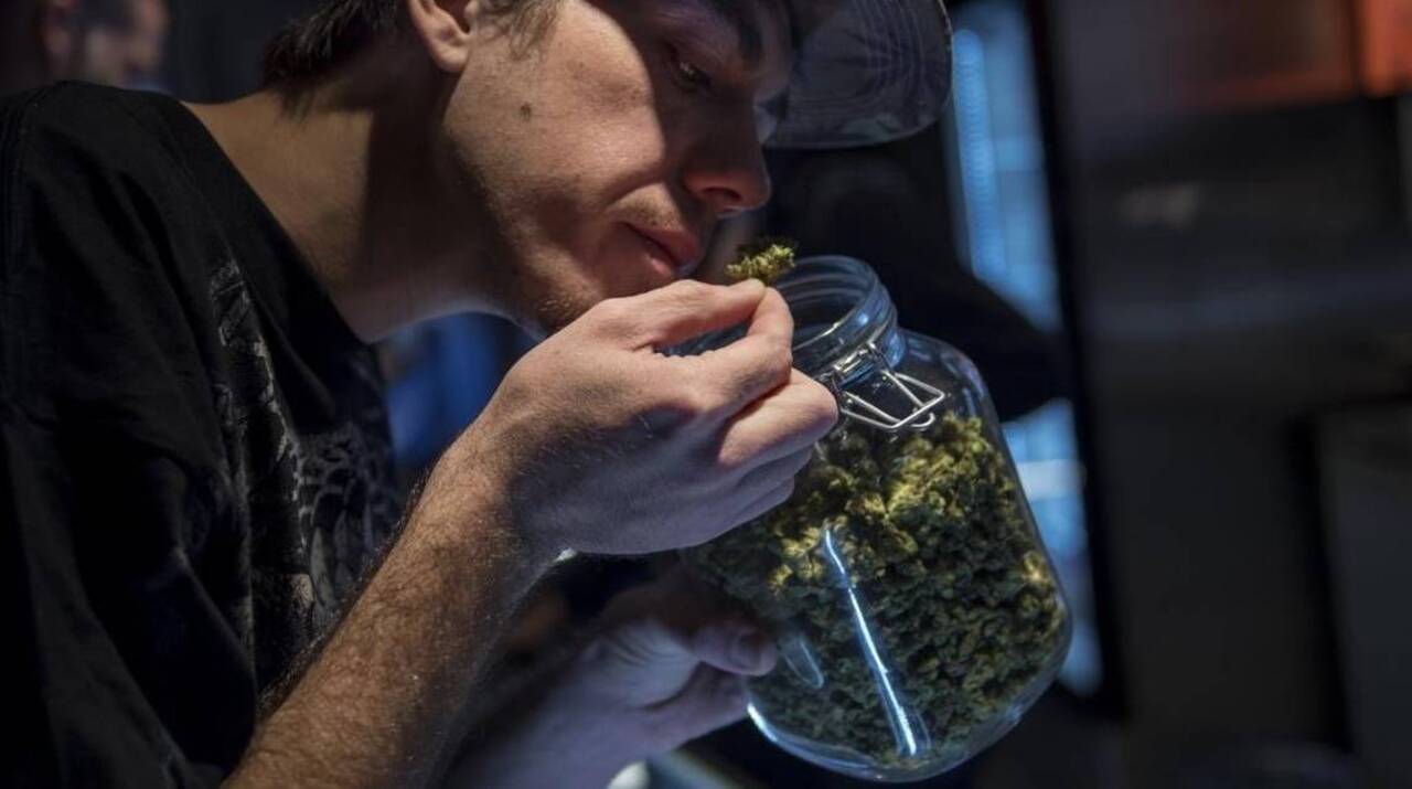 Wichita checkpoint on 4/20 nets three drug DUI arrests Wichita Eagle