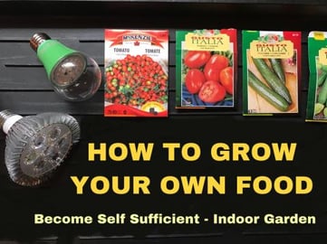 How to Survive a Global Pandemic like the Coronavirus... ...