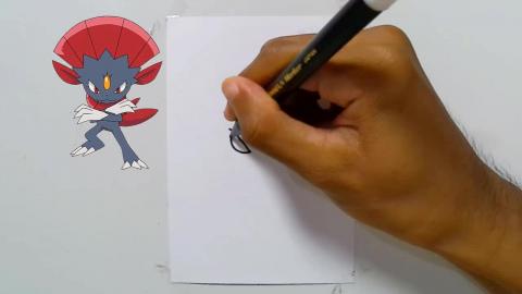 Drawing pokemon weavile