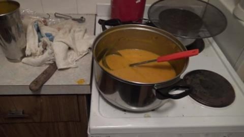 Home made pumpkin soup & husky's love it