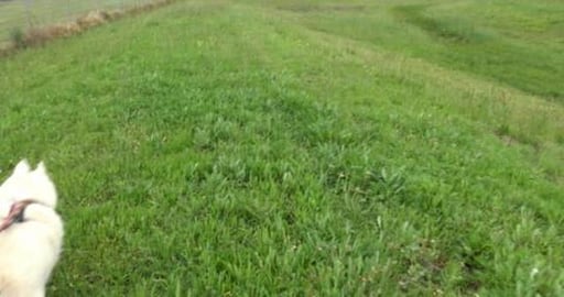 Exploring the village of Wyreema, soon to become a suburb...