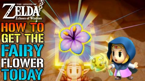 The Legend Of Zelda: Echoes Of Wisdom "Fairy Flower" Loca...