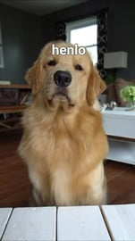 ASMR Taste Test Gone Wrong - Tucker Taste Test 10