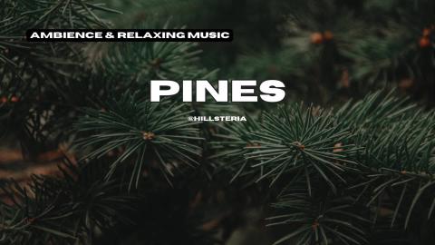 Pines Relaxing Ambient Music for Focus, Meditation & Stre...