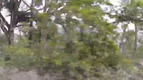 Houses Being Built At 2000 m Above Sea Level | SIkkim