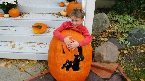 50 lb boy in a 127 lb field Pumpkin Happy Halloween! 