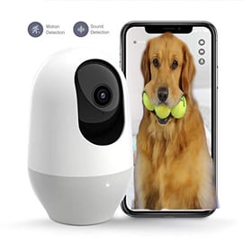  FUNNY DOGS REACTION CAUGHT ON NOOIE SECURITY CAMERA!