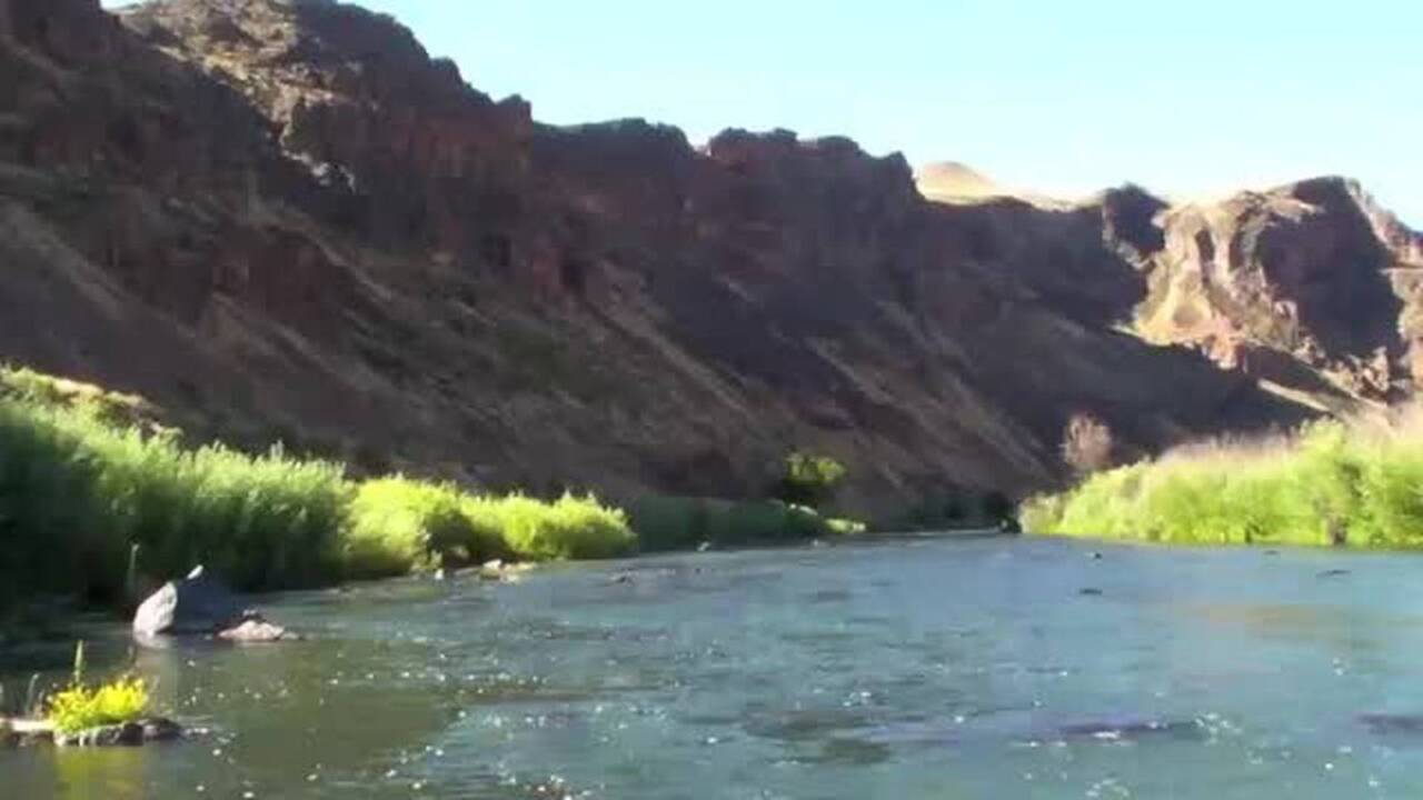 Stalking brown trout in the Owyhee River | Idaho Statesman