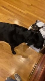 Aunt Zoe couldn’t ignore him forever 