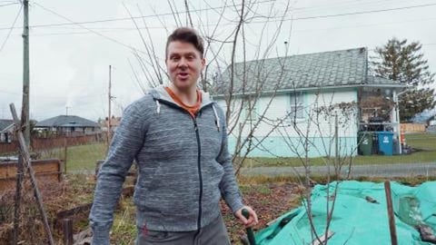 How to Prune a Fruit Tree