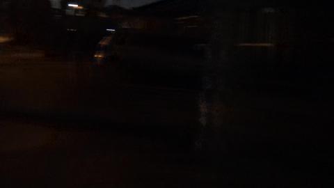 It was too far for Husky to see her BFF