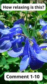 Recharge Your Mind and Body: How Relaxing This is Volume ...