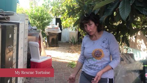 110 Pound 40 Year Old Rescue Tortoise and Woman Living th...
