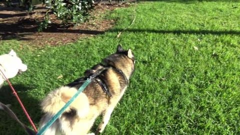 Helping out a panicked elderly couple who hit the mains