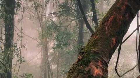 Relaxing song, calm down 2025- Relax images